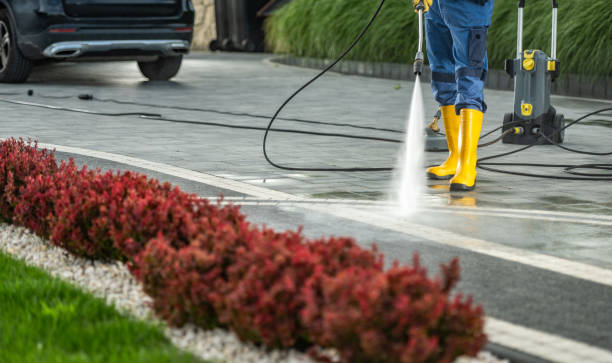 Best Best Pressure Washing Companies  in Reed Creek, GA